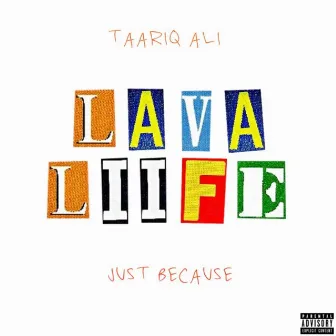 JUST BECAUSE by Taariq Ali