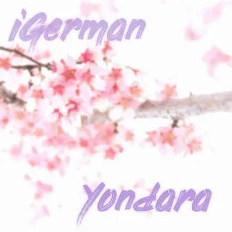 Yondara by iGerman