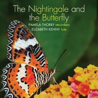 The nightingale and the butterfly by Elizabeth Kenny