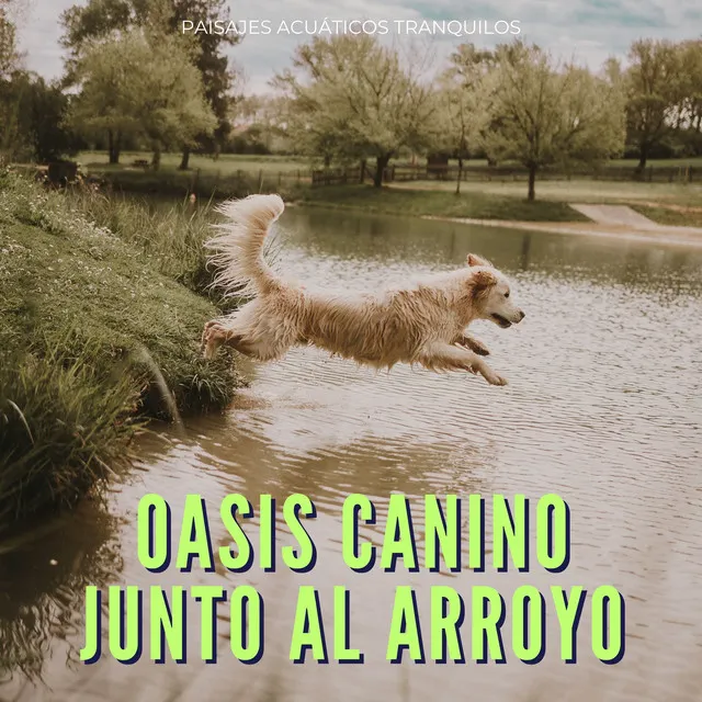 Aguas Tranquilas Para Perros Felices