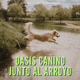 Oasis Canino Junto Al Arroyo: Paisajes Acuáticos Tranquilos by Grabaciones de Liquid Planet