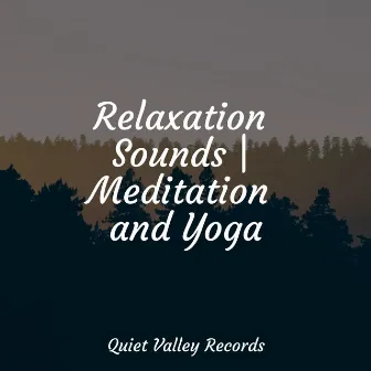 Relaxation Sounds | Meditation and Yoga by Sons da Natureza & Relaxamento