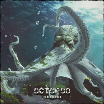 Consequence by Octopod