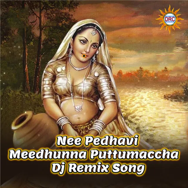 Nee Pedhavi Meedhunna Puttumaccha (Dj Remix)