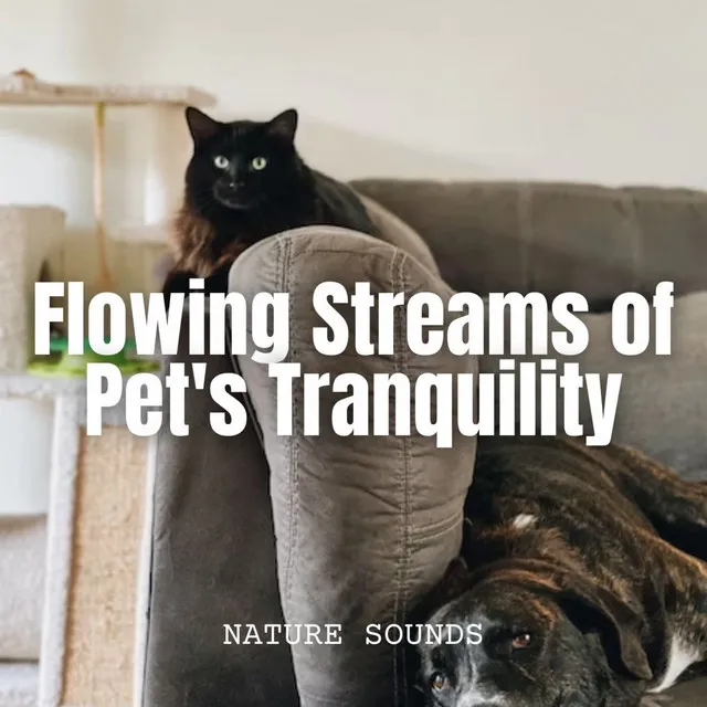 Nature Sounds: Flowing Streams of Pet's Tranquility