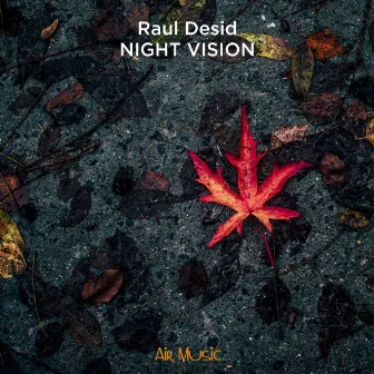 Night Vision by Raul Desid