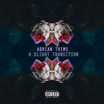 A Slight Transition by Adrian Thims