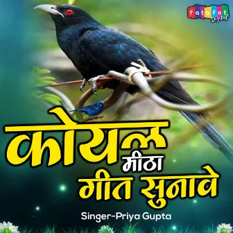 Koyal Mitha Geet Sunave by Priya Gupta