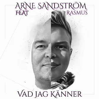 Vad jag känner by Arne Sandström