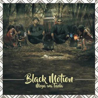 Moya Wa Taola by Black Motion