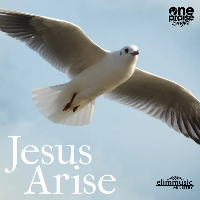 Jesus Arise