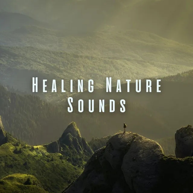 Healing Nature Sounds