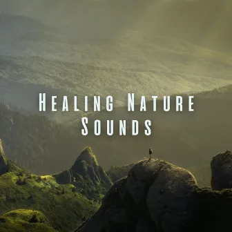 Healing Nature Sounds by A Sound Healer