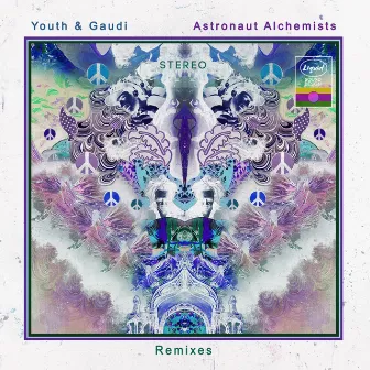 Astronaut Alchemists (Remixes) by Youth