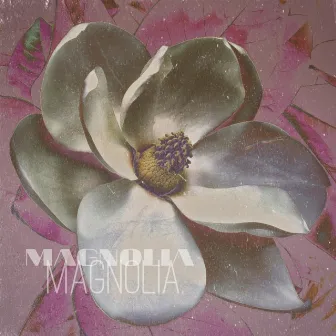 Magnolia by Adrian Peace