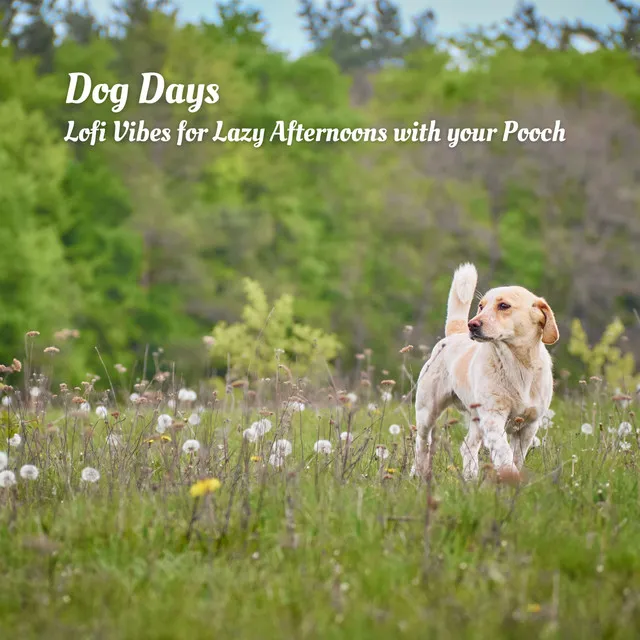 Dog Days: Lofi Vibes for Lazy Afternoons with your Pooch