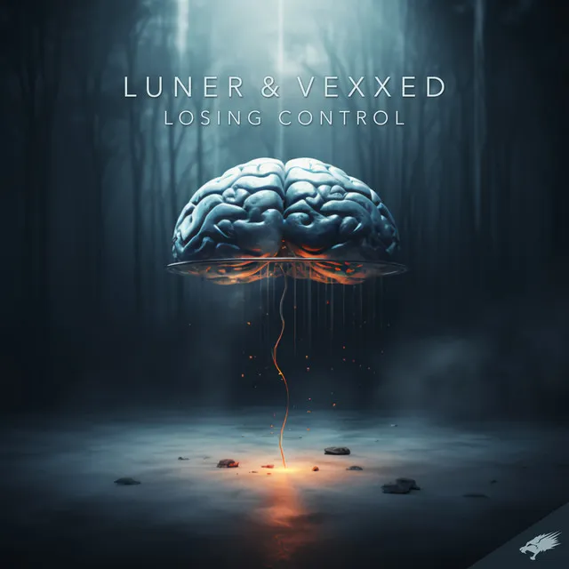 Losing Control - Extended Mix