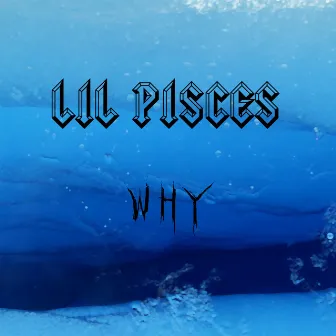 Why by Lil Pisces