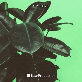 Paradiso by Mr. Fuzz