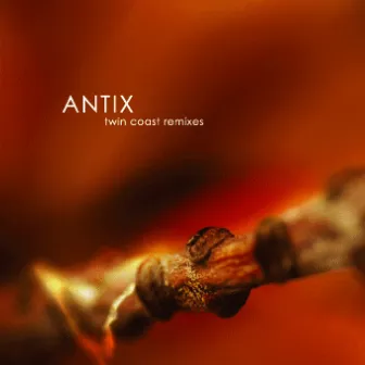 Twin Coast Remixes by Antix