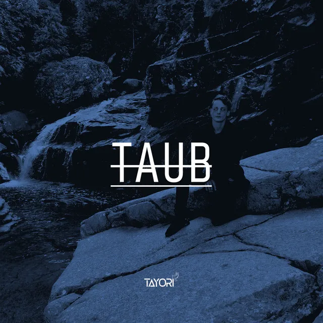 Taub - JLadder Remix