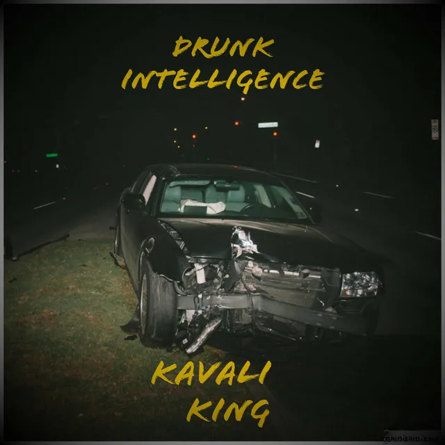 Drunk Intelligence Ep