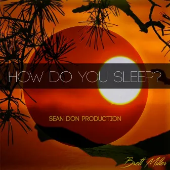 How Do You Sleep by Sean Don