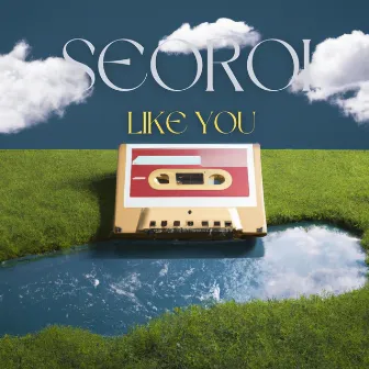 Like You by Seo Roi