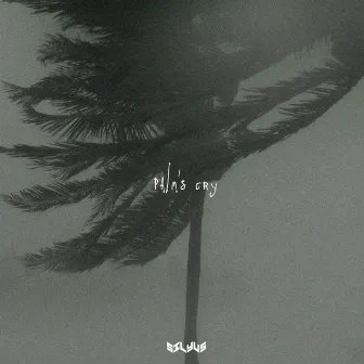 Palm's Cry by Unknown Artist