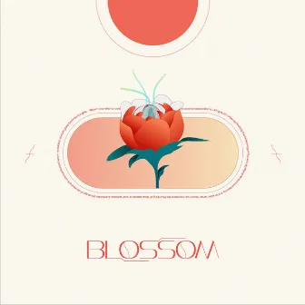 Blossom by Jiaxi