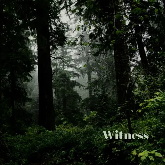 Witness by Sophie Sara