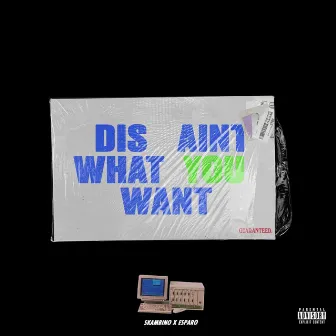 Dis' Aint What You Want by Skambino