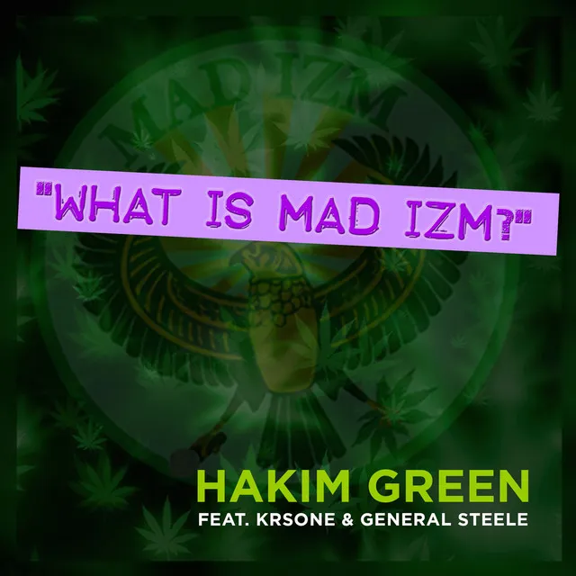 What Is Mad Izm? (feat. KRS-One & General Steel)