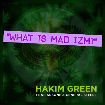 What Is Mad Izm? (feat. KRS-One & General Steel) by Hakim Green