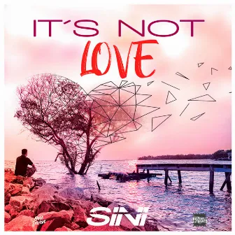 It's Not Love by Sini