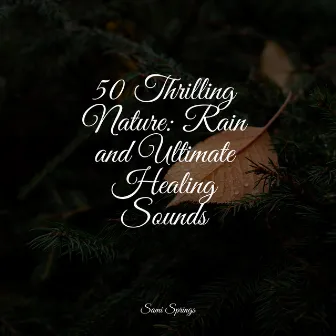 50 Thrilling Nature: Rain and Ultimate Healing Sounds by Unknown Artist