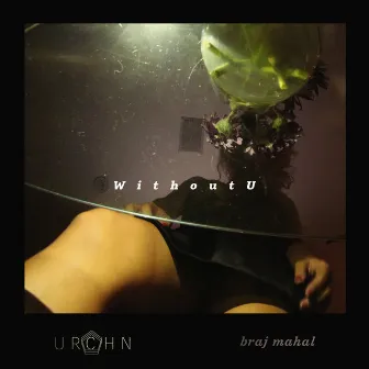 WithoutU by braj mahal