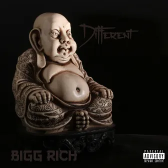 Different by Bigg Rich