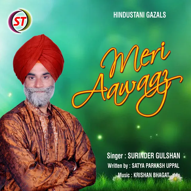 Meri Aawaaz - Panjabi