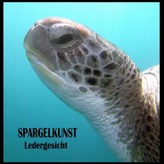 Ledergesicht EP by Spargelkunst