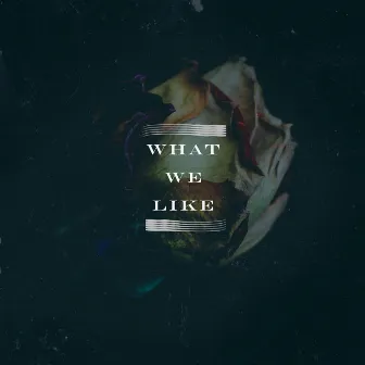 What We Like by Unknown Artist