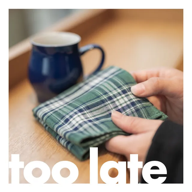 Too late (feat. shim)