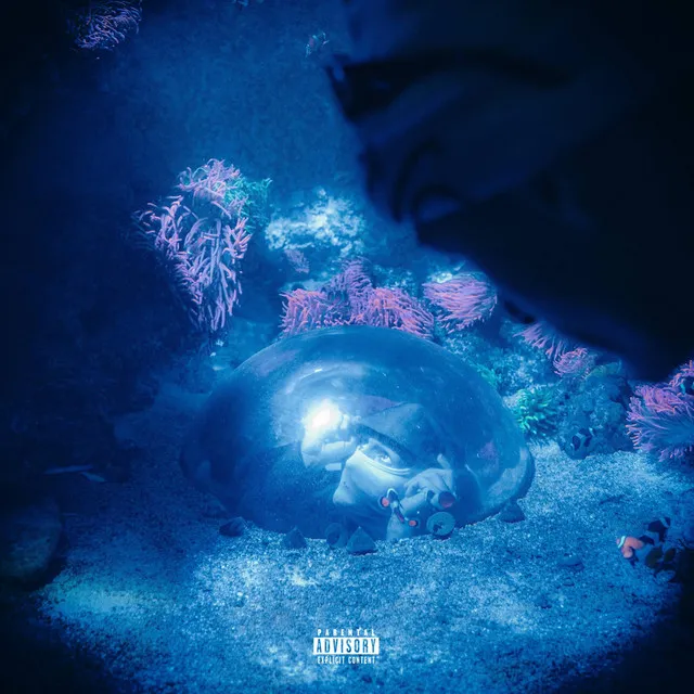 Aquarium (Once interlude)