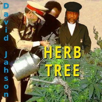 Herb Tree by David Jahson