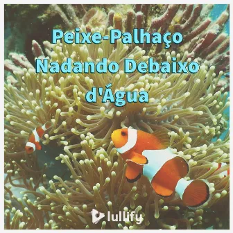 Peixe-Palhaço Nadando Debaixo d'Água by Lullify Português