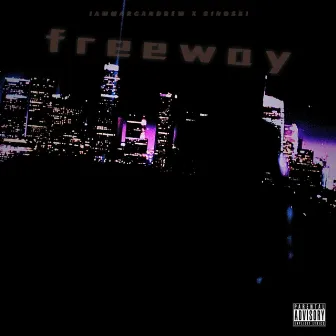 Freeway by Unknown Artist