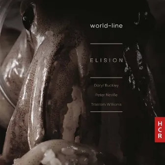 world-line by Elision Ensemble