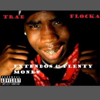 Extendos & Plenty Money - Single by Trae Flocka