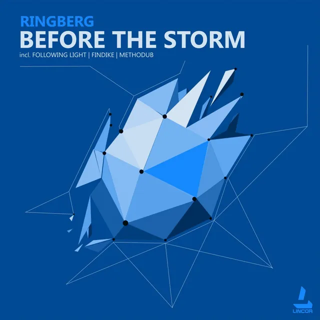 Before the Storm - Findike Remix