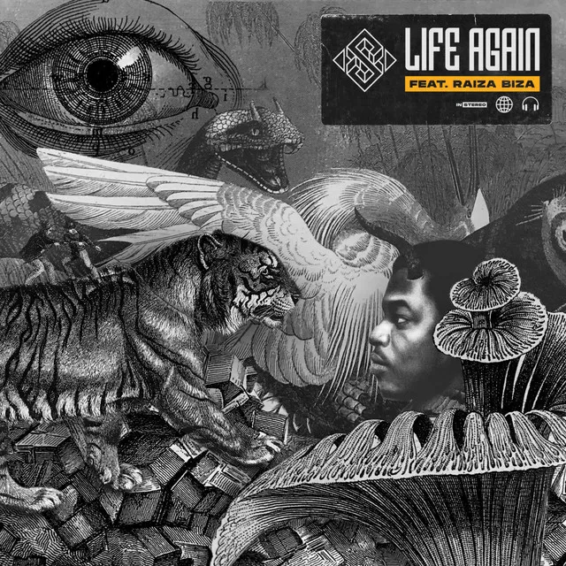 Life Again (feat. Raiza Biza)